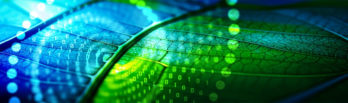 AI-enhanced patient journey timeline showing diagnosis, treatment steps, and continuous medical follow-up
