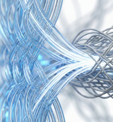 SAP SuccessFactors Performance and Goal Management