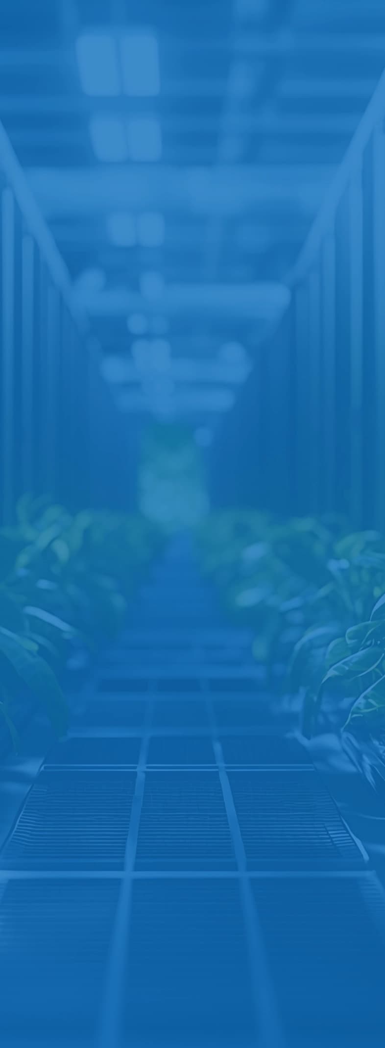 Expertise in Salesforce image