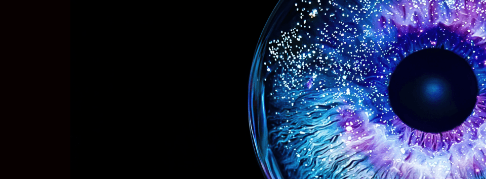 grow with sap banner