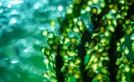 Salesforce Health Cloud