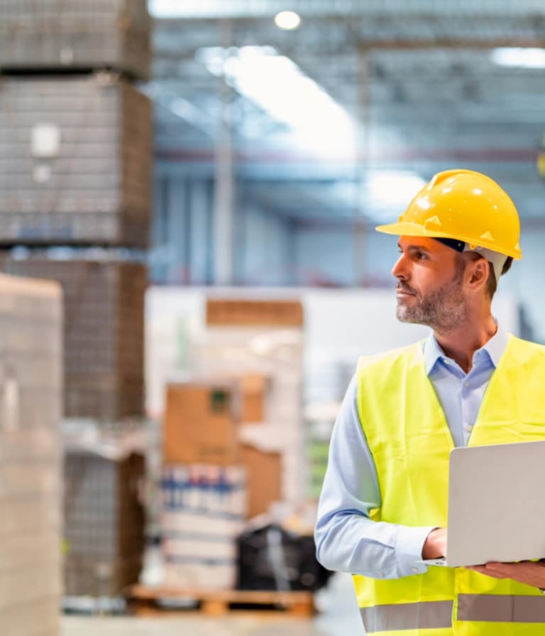 sap data fabric image