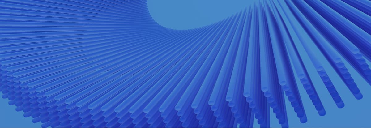 rise with sap banner