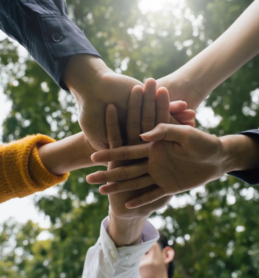 Revenue social impact