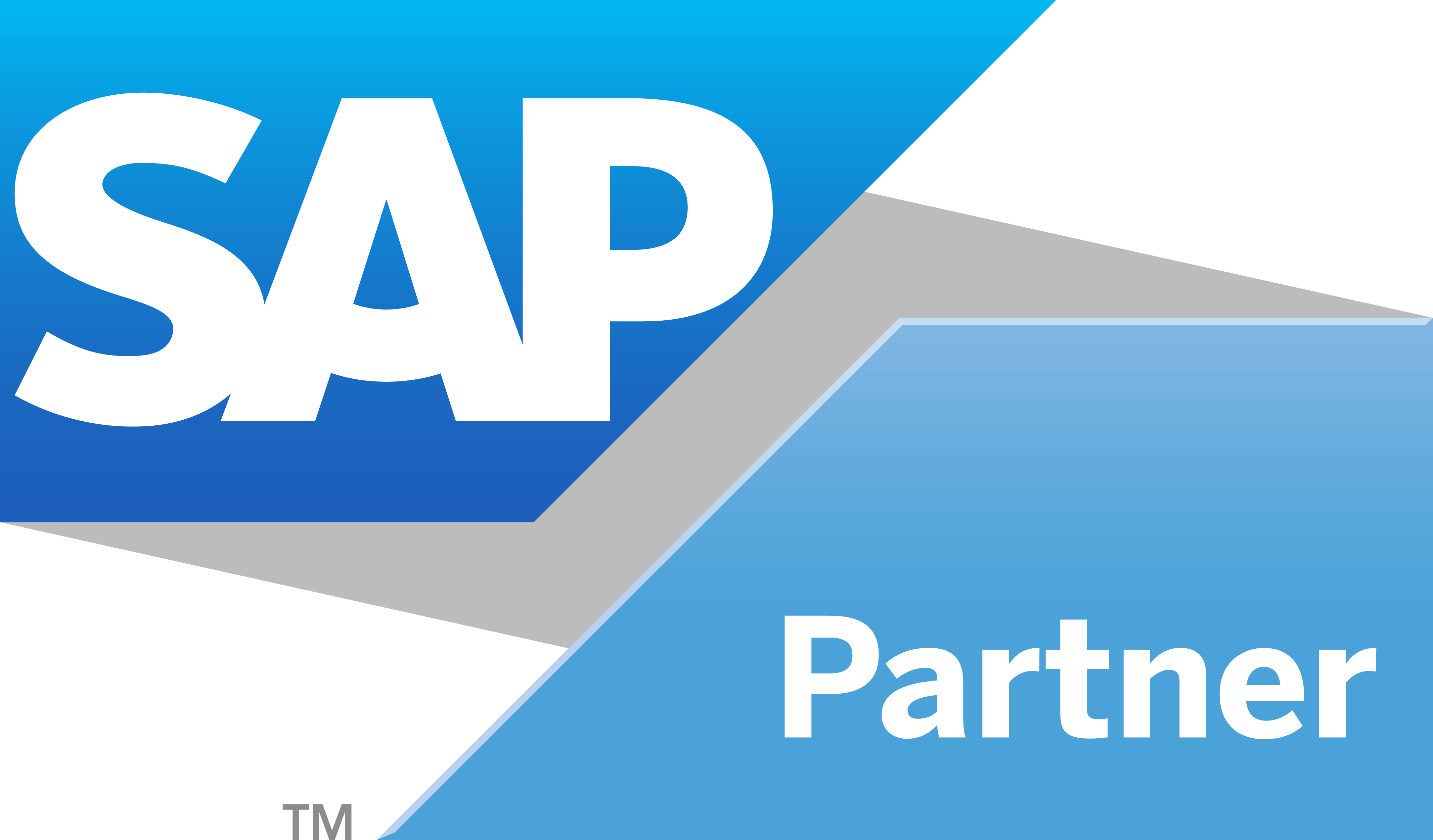 SAP-partner-logo (1) 2 (1) (1)